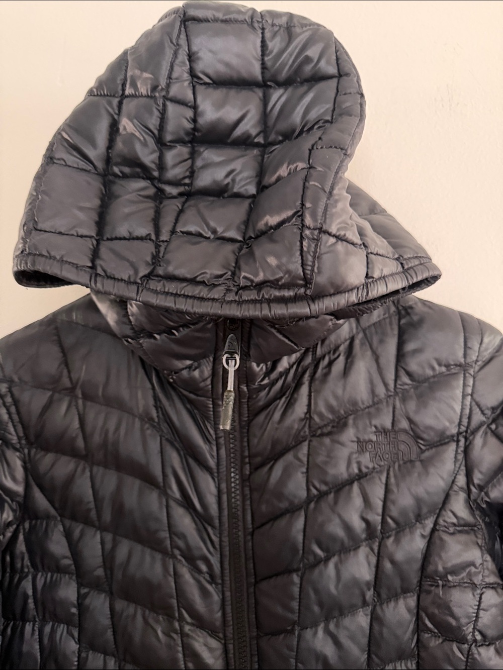 The North Face ThermoBall™ Eco Parka / Hooded Jacket - Picture 6 of 10
